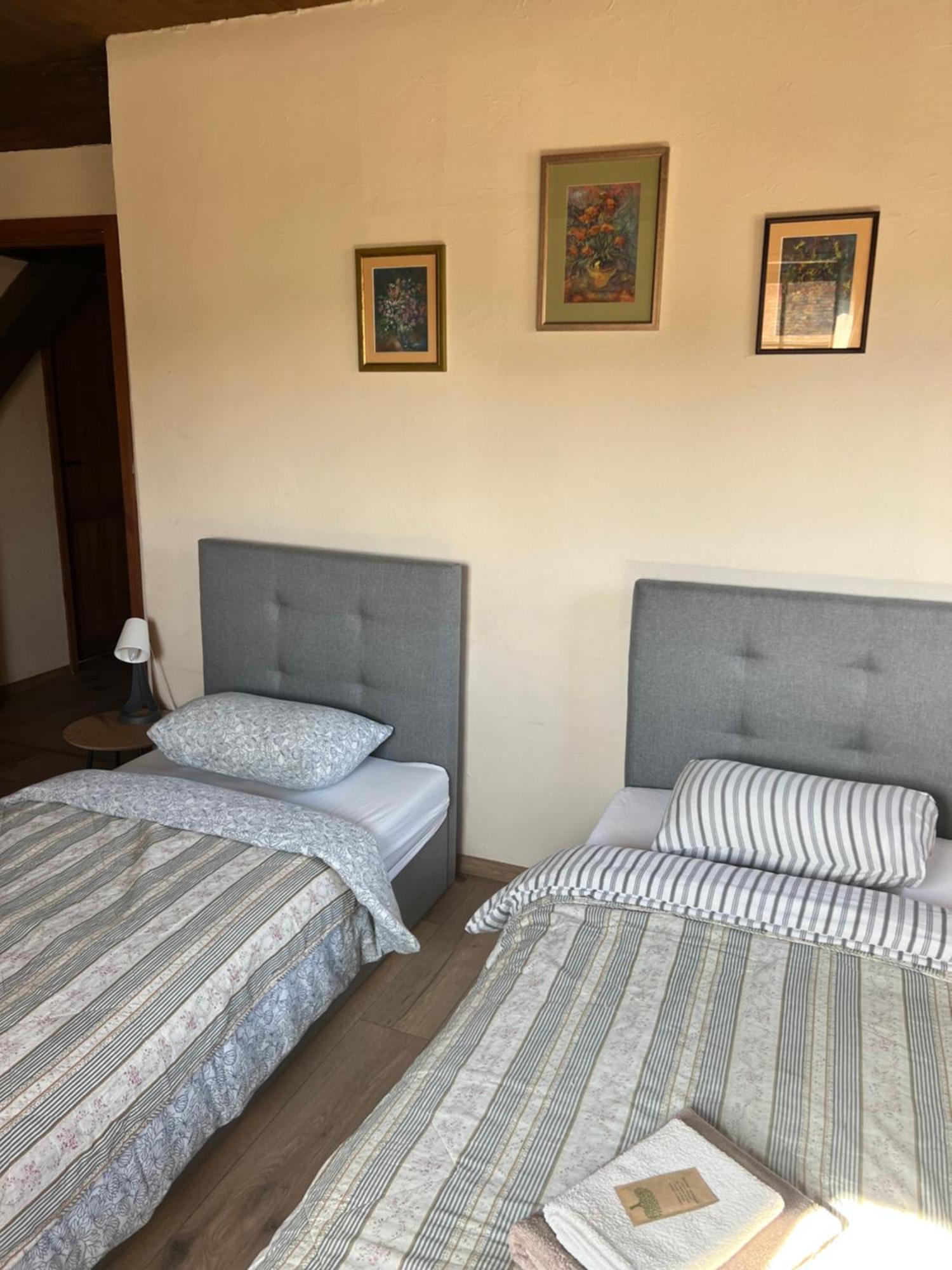 Stary Spichrz Kawiarnia & Noclegi Chełmno Dış mekan fotoğraf